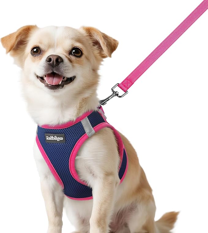 rabbitgoo Dog Harness Small Sized and Leash Set, Step-in Breathable Pet Harness, Soft Walking Reflective Puppy Vest for Small Dogs, Blue & Rose Red, XXS