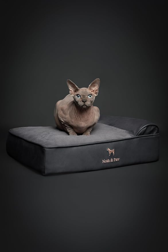 NOAH & PAW Small Dog Bed, 20x15x6.5 Inch, Cat Bed for Indoor Cats, Orthopedic Eggshell Memory Foam Infused with Cooling Gel, Water Resistant, Machine Washable, Includes Inner Cover (Faux Leather)