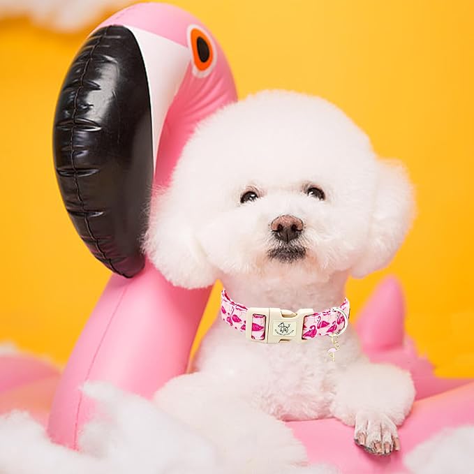 Elegant little tail Dog Collar-Cute Pet Dog Collar Pink Flamingos Print Cotton Soft Girl Puppy Adjustable Pet Collars for Small Medium Large Dogs