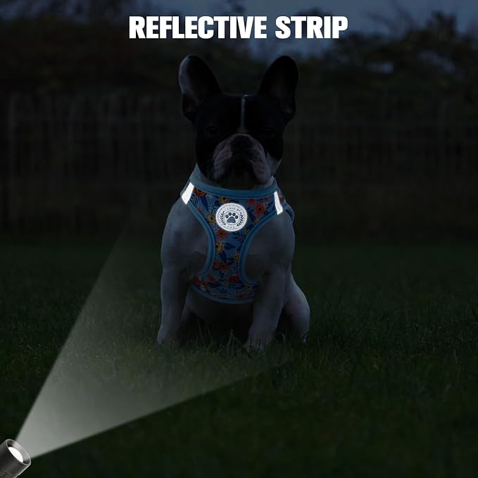 BEAUTYZOO Step in Dog Harness and Leash Set, Floral Pattern Reflective No Pull No Choke Puppy Harness for Small Medium Large Dogs Cats, Soft Padded Mesh Vest Harnesses for Girl and Boy Pets