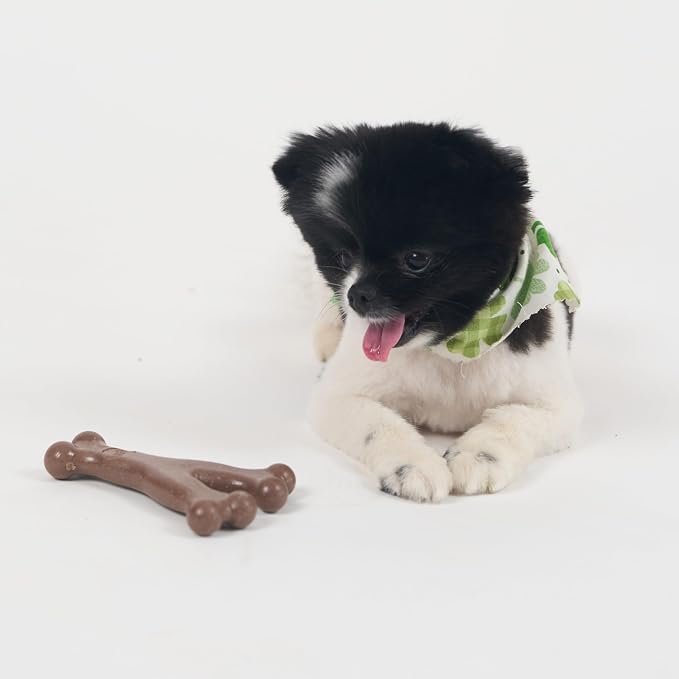 SPOT Bam-Bones Wishbone Dog Chew Toy, Bamboo Fiber Blend, Non-Splintering Durable Chew for Light to Moderate Chewers, Adult Dogs & Teething Puppies 10–30 lbs, Bacon Flavor, 5.25 in