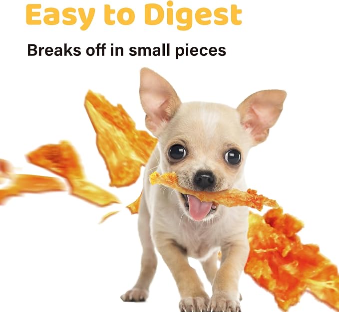 iPaw Turkey Tendon for Dogs, Single Protein, Hypoallergenic, All Natural Human Grade Puppy Chew, Rawhide Alternative Dog Treats, 1 Pc/Pack Bone (Large)