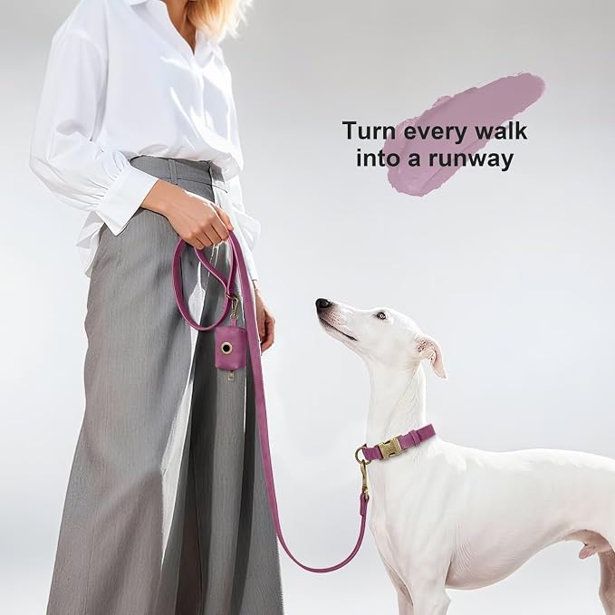 Didog Stylish PU Leather Dog Leashes for Medium Dogs, Easy to Clean 5ft Dog Leashes for Large Dogs, Fashionable and Elegant for Walking, Running and Training,Purple, M