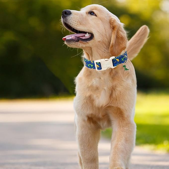 Dinosaur Dog Collar, Cute Boy Dog Collars for Puppy Small Dogs - Blue Multicolor Dino Cotton Male Dogs Collar, Soft Adjustable Daily Pet Collars with Quick Release Buckle XS