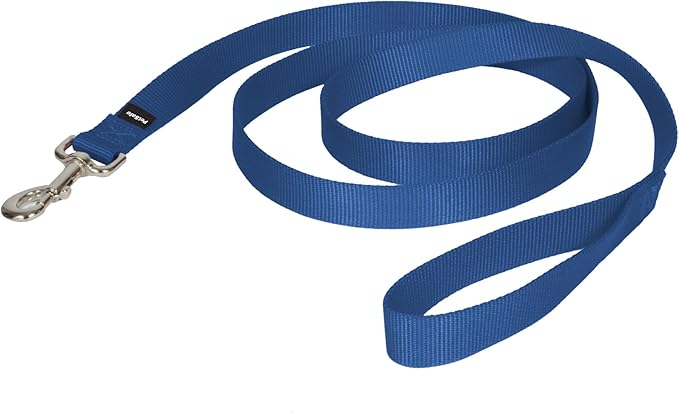 PetSafe Nylon Dog Leash - Strong, Durable, Traditional Style Leash with Easy to Use Bolt Snap - 1 in. x 6 ft., Royal Blue