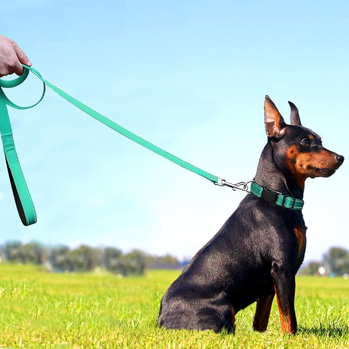 FunTags 6FT Turquoise Reflective Dog Leash for Medium & Small Dogs Walking, Soft Padded Handle Comfortable Grip, Heavy Duty Nylon, Reflective for Night Walking, 3/4in Wide