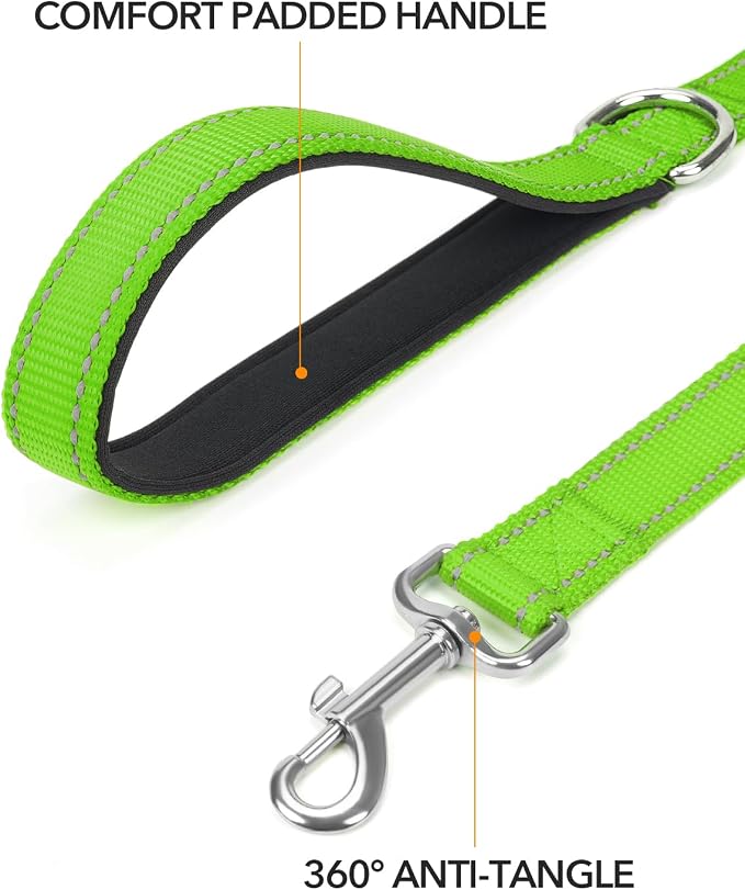 Taglory Dog Leash for Medium Large Dogs, Double-Sided Reflective for Night Walking, Neoprene Padded Handle, 1 inch by 5 ft, Heavy Duty for Medium Large Breeds 20-150 lbs, Green