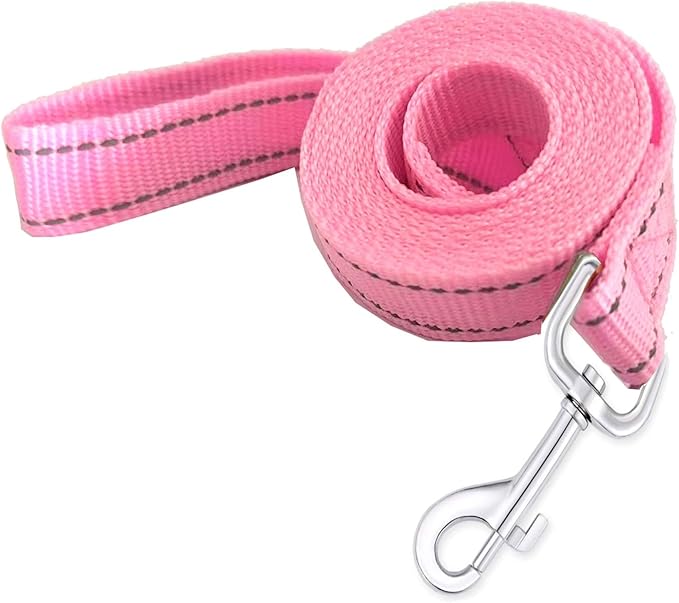 Reflective Dog Leash 4Ft /6 Feet Long, 3/4 Inch Wide, for Small and Medium Dogs