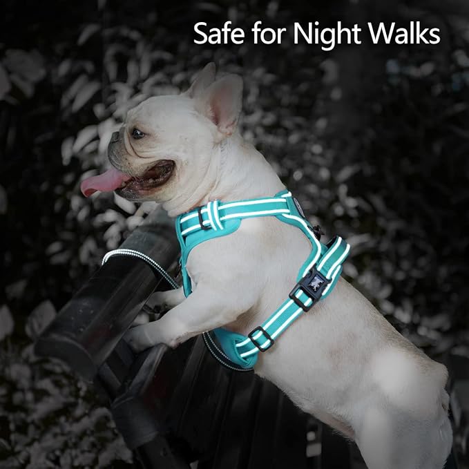 PoyPet No Pull Dog Harness, No Choke Reflective Dog Vest, Adjustable Pet Harnesses with Easy Control Padded Handle for Small Medium Large Dogs(Mint Blue Matching Trim,XS)
