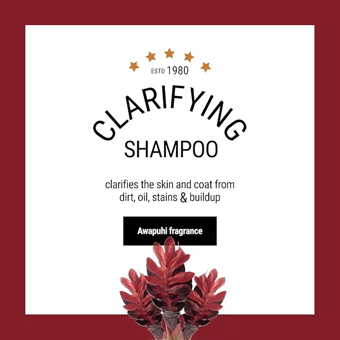 The Coat Handler Clarifying Dog Shampoo, 16 oz - Natural Ingredients, Brightening, Removes Stains and Dirt, Brightens All Coat Colors, Professional Grade Grooming Shampoo, Bulk Concentrated
