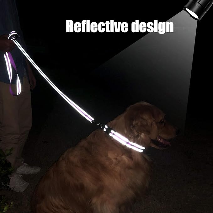 FunTags 4FT Purple Reflective Dog Leash for Large & Medium Dogs Training, Soft Padded Handle Comfortable Grip, Heavy Duty Nylon, Reflective for Night Walking, 1in Wide