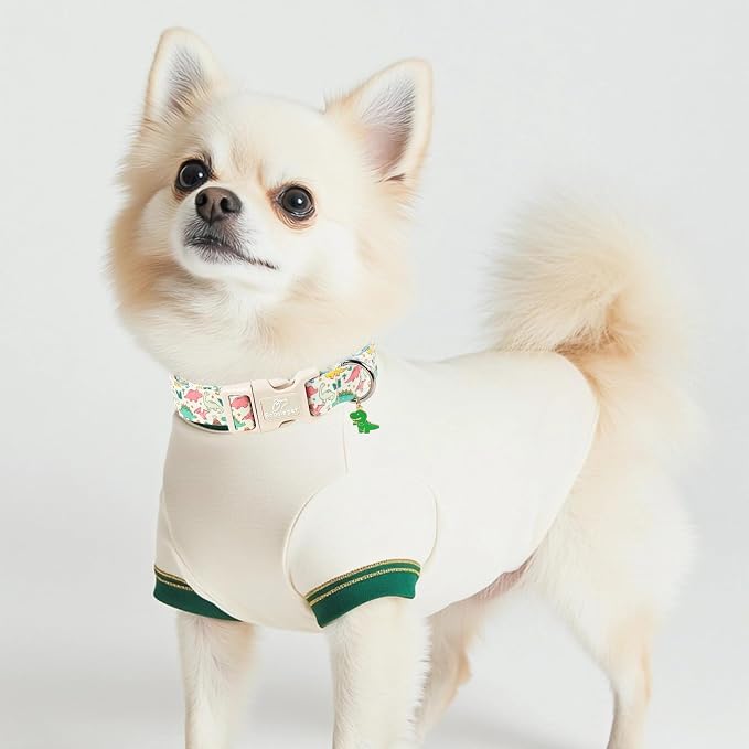 Dinosaur Dog Collar Cute Boy Dog Collars for Medium Dogs - Lightweight Adjustable Cartoon Design Male Female Dogs Everyday Collar with Safety Buckle M
