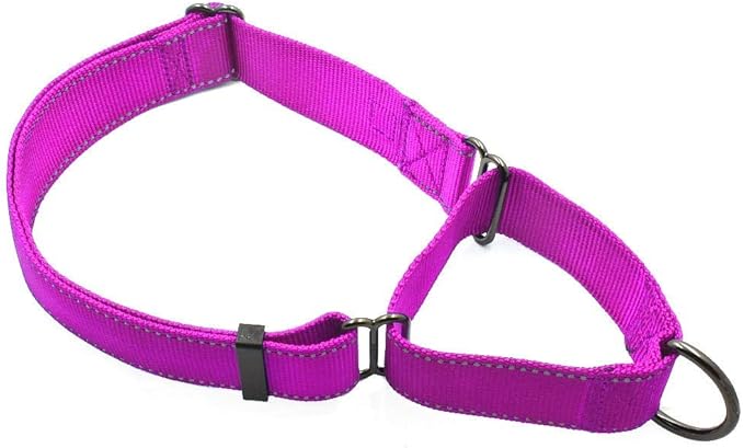 Max and Neo Nylon Extra Large Dog Martingale Collar - We Donate to a Dog Rescue for Every Collar Sold (Pink)