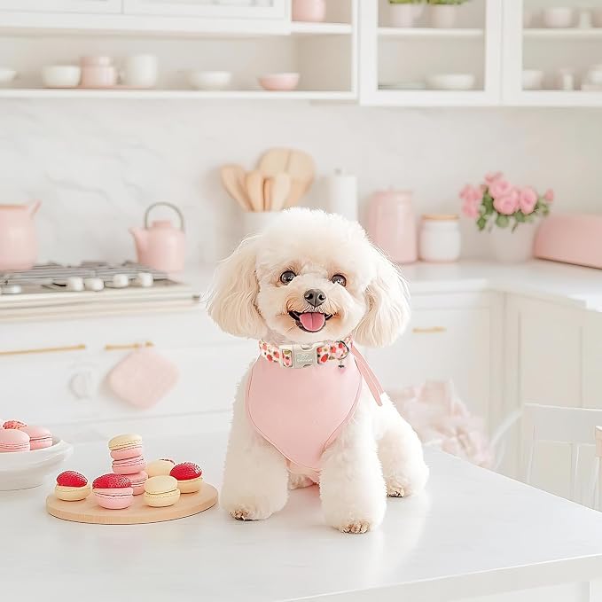 Strawberry Dog Collar for Small Dogs - Cute Spring Pink Dog Collars, Summer Pastel Puppy Collars, Soft Adjustable Boy Girl Dogs Collar with Quick-Release Buckle XS