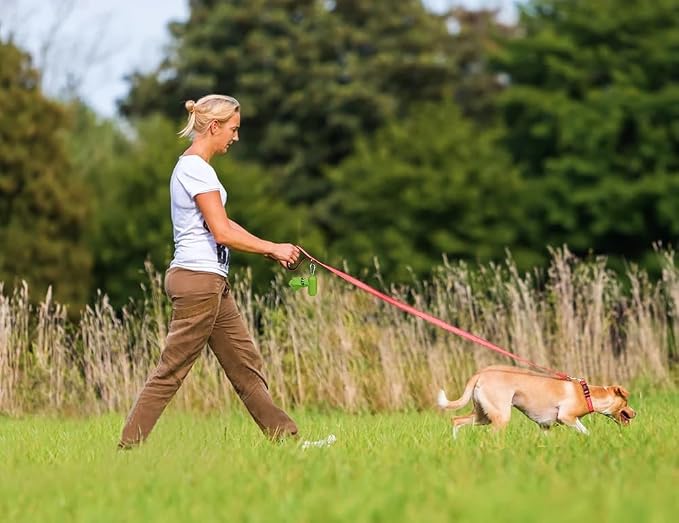 Taglory Dog Leash for Small Dogs, Double-Sided Reflective for Night Walking, Neoprene Padded Handle, 3/4 inch by 5 ft, Lightweight for Small Medium Breeds up to 30 lbs, Pink