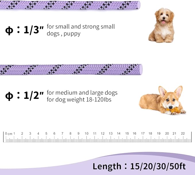 Long Dog Leash for Training 30Ft-Reflective Nylon Rope with Swivel Hook-Recall Agility Lead for Large Small Medium Dogs Outside Walking Hiking-Purple Diam 1/2"