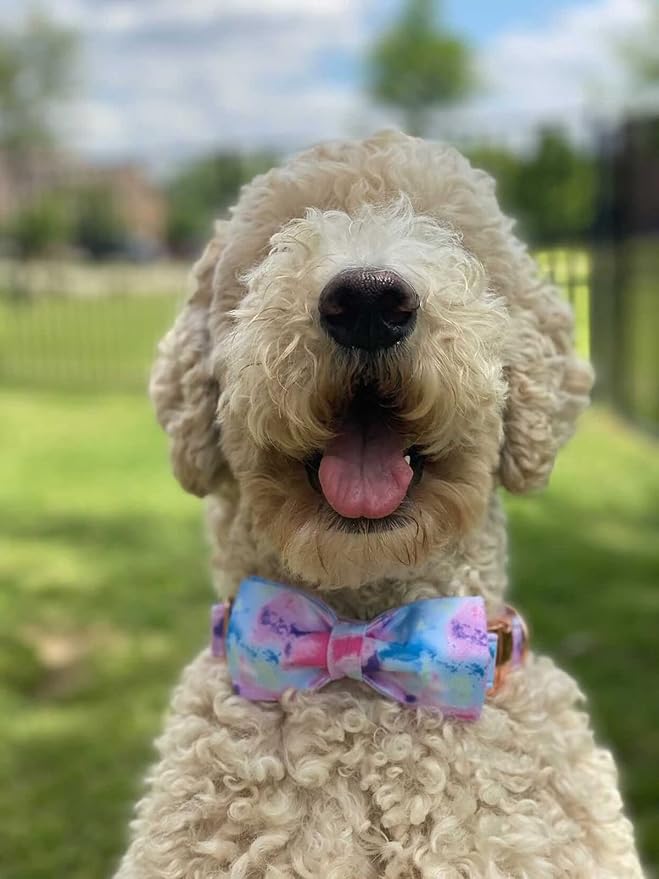 Elegant little tail Dog Collar with Bow, Colorful Pattern Soft Comfy Bowtie Dog Collar Adjustable Pet Gift Collars for Small Medium Large Dogs