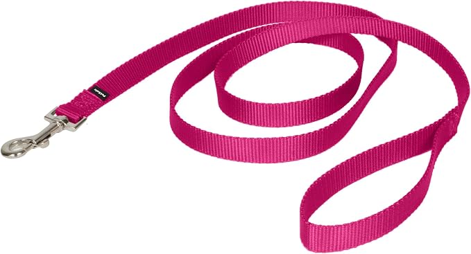 PetSafe Nylon Dog Leash Strong, Durable, Traditional Style Lead with Easy to Use Bolt Snap for Small, Medium and Large Dogs 3/4" x 6', Deep Purple