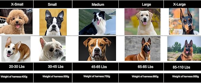 ICEFANG GN3 Tactical Dog Harness with 6X Buckle,Dog Molle Vest with Handle,3/4 Body Coverage,Hook and Loop Panel for ID Patch,No Pulling Front Clip (XS (17"-23" Girth), Wolf Gray)
