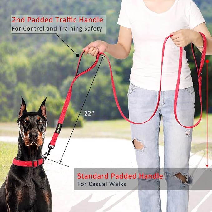 Plutus Pet Double Handle Dog Leash, 6ft, Padded, Heavy Duty, Reflective, Red, 2 Handle Leads