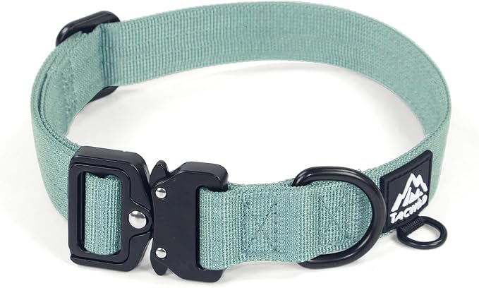Dog Collar for Small Dogs Christmas Boy Girl - Adjustable, Chew Proof Nylon Collar with Metal Quick Release Buckle and D-Ring for Dog Tags (Florida Seaside, S(0.5''Width, Fit 11''-15''))