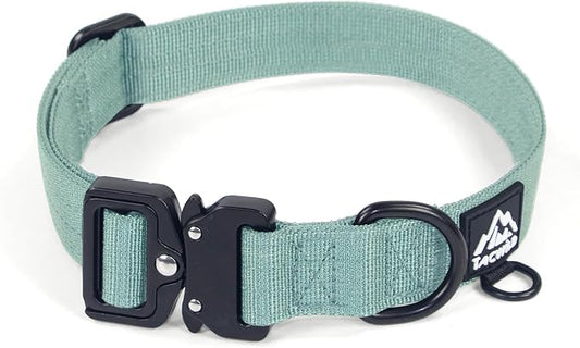 Dog Collar for Small Dogs Christmas Boy Girl - Adjustable, Chew Proof Nylon Collar with Metal Quick Release Buckle and D-Ring for Dog Tags (Florida Seaside, S(0.5''Width, Fit 11''-15''))
