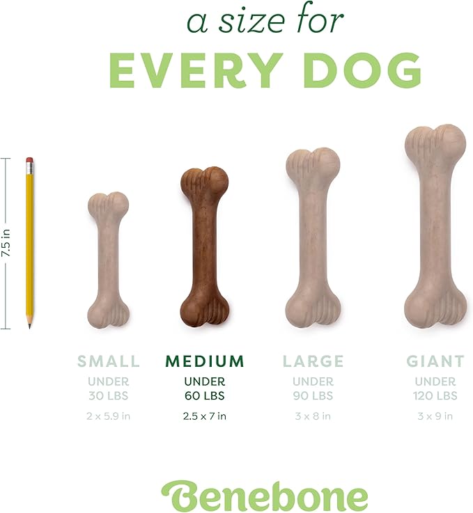 Benebone Bone Durable Dog Chew Toy for Aggressive Chewers, Real Bacon, Made in USA, Medium