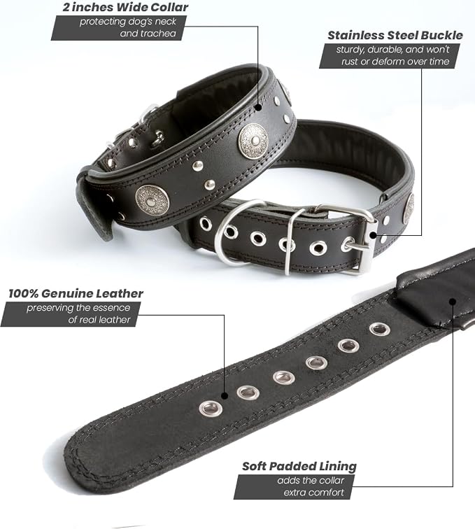 Genuine Leather Dog Collar for Large Dogs,2 in Wide Heavy Duty,BK-L | Handmade,Stainless Steel Pin Buckle,Soft Padded,Alloy Studded,Luxury Eye-catching Design,Medium Large Giant Breeds,21-25 in