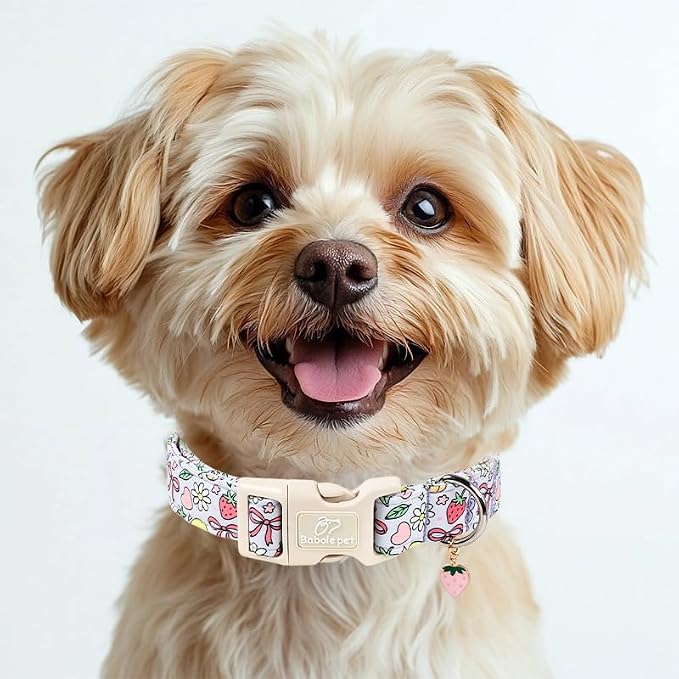 Summer Dog Collar Cute Lavender Dog Collars for Small Dogs - Lightweight Adjustable Fruit Printed Female Dogs Everyday Collar with Safety Buckle S