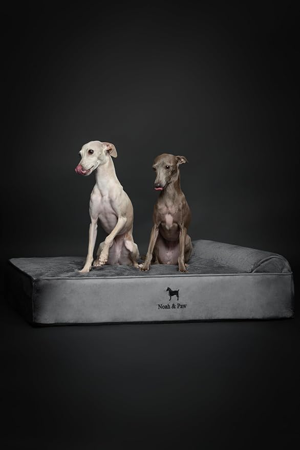 NOAH & PAW Large Dog Bed, 35x25x8.7 Inch, Orthopedic Dog Beds, Eggshell Memory Foam Infused with Cooling Gel, Water Resistant, Machine Washable, Includes Inner Cover (Velvet Collection)