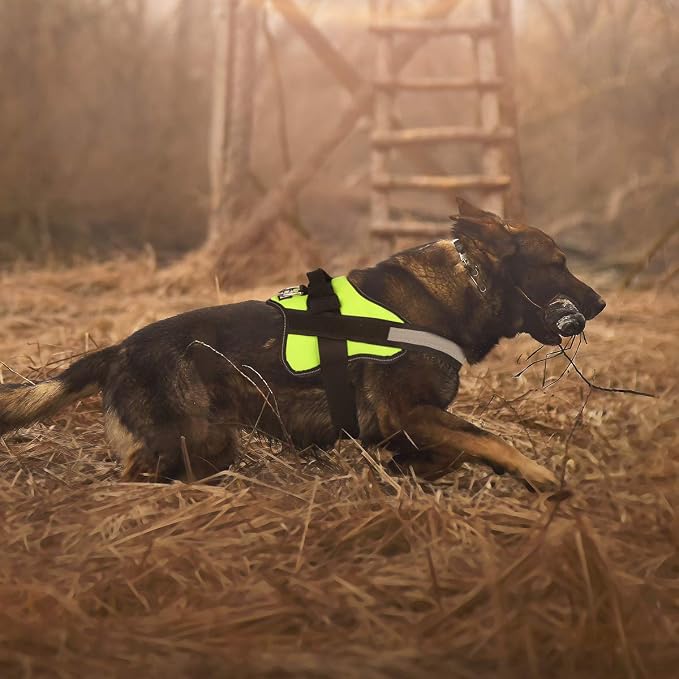 Dog Harness, No-Pull Reflective Dog Vest, Breathable Adjustable Pet Harness with Handle for Outdoor Walking - No More Pulling, Tugging or Choking (Green, M)