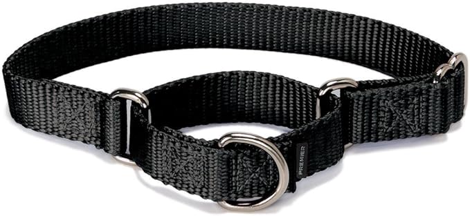 PetSafe Martingale Dog Collar Medium, 1 Inch, Black