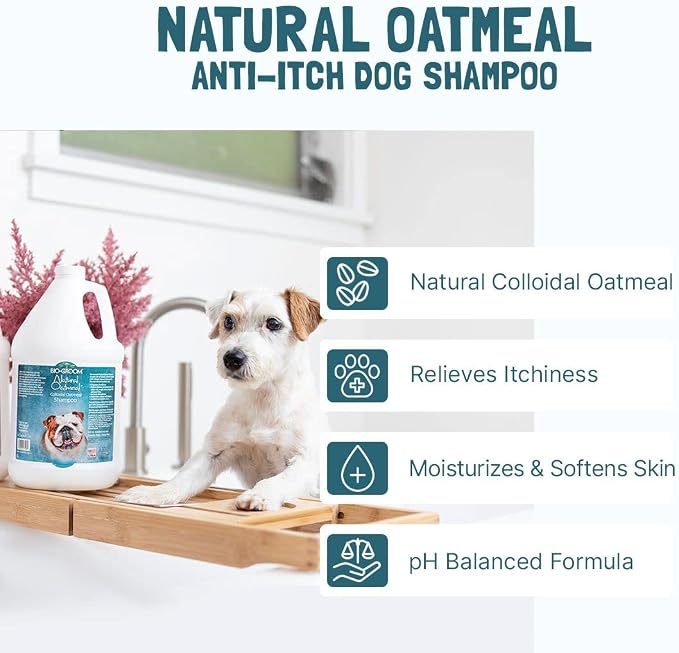 Bio-Groom Oatmeal Dog Shampoo - for Allergies and Itching, Cruelty-Free, Dog Bathing Supplies, Puppy Shampoo for Sensitive Skin, Made in USA, Anti-Itch Dog Products- 32 fl oz 1-Pack