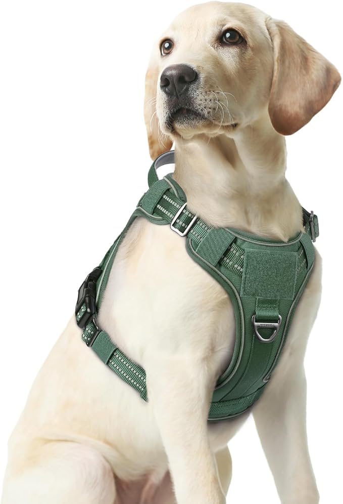 rabbitgoo Tactical Dog Harness for Large Dogs No Pull Adjustable Military Vest with Handle MOLLE Reflective Heavy Duty Dog Vest for Walking Training Hunting Outdoor Working Medium Size Dog Green M