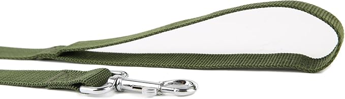 Nylon Dog Training Leash, Traction Rope, 4Ft /5 Foot /6 Feet Long, 5/8 inch 3/4 Inch 1 Inch Wide, for Small and Medium Dogs (1'' x 8 FT, Green)