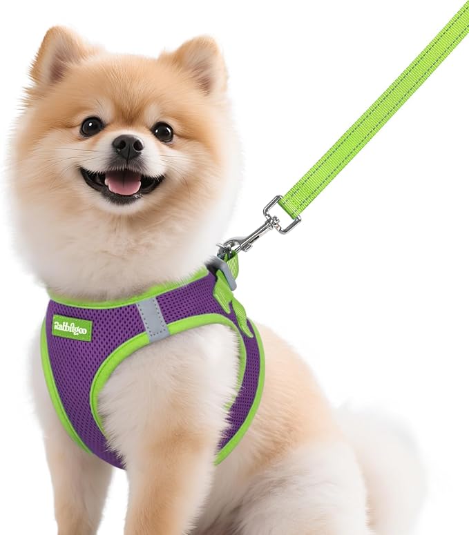 rabbitgoo Dog Harness Small Sized and Leash Set, Step-in Breathable Pet Harness, Soft Walking Reflective Puppy Vest for Small Dogs, Purple & Green, M