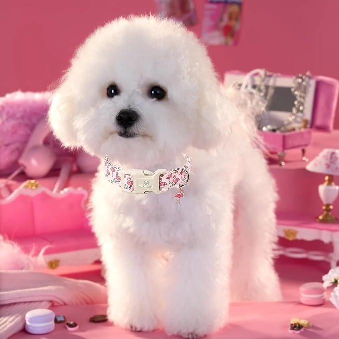 Maca Bates Cute Pink Flamingo Dog Collar Summer Puppy Collars for Small Girl Boy Dogs,Spring and Summer Styles,Durable,Soft,Thick,Adjustable for Female Male Pet with White Safety Buckle