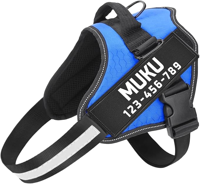MUMUPET Custom Dog Harness Vest with 2 Personalized Name & Phone Patches, No Pull Reflective Adjustable with Handle, Soft Breathable Padding for Small Dogs (Blue, S)