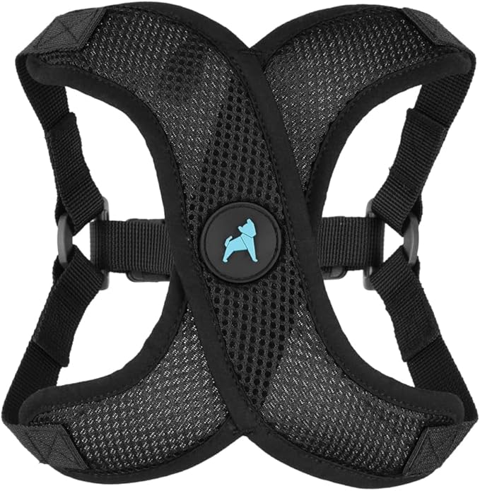 Gooby Comfort X Step in Lite Dog Harness - Choke Free, Escape Free with Light Breathable Mesh - Step in Dog Harness for Small and Medium Dogs - Quick Release Buckle, Metal D-Rings - Black, Medium