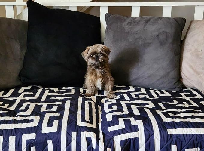 Waterproof Blanket, 60”x70” - Large Couch Cover for Dogs and Pets - Ideal for Picnics, Outdoor, Camping, Beach and More - Large, Washable Protector