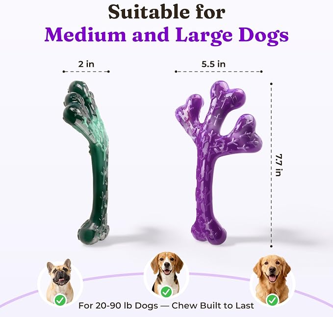 Frienhund 2 Pack Indestructible Dog Chew Toys for Aggressive Chewers - Textured Cactus with Grooves for Peanut Butter & Yogurt, Beef Nylon Bones for Large Dogs 20-90 lbs, Easy Chew & Long Lasting