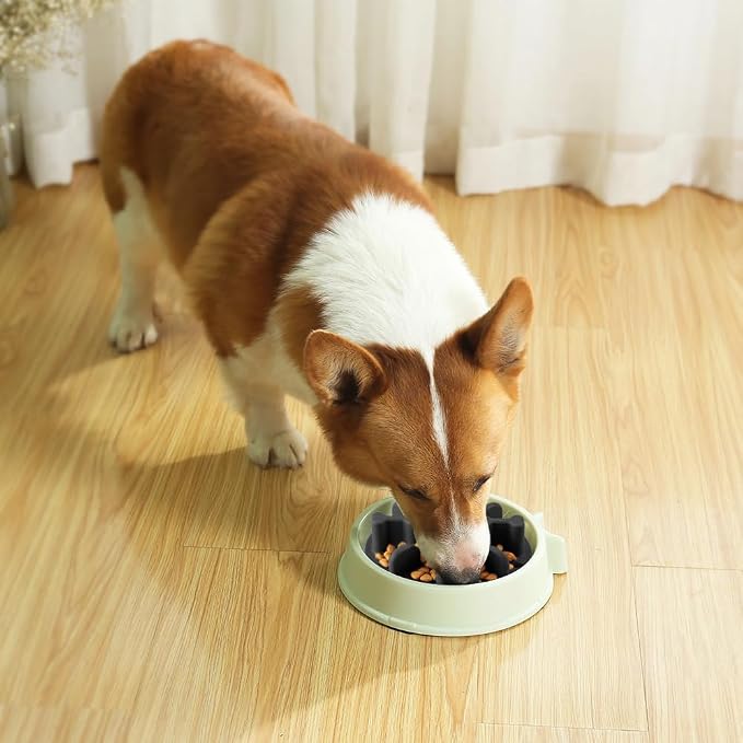 Soft Silicone Anti-Choking Puzzle Dog Bowl Insert, Anti-Slip Slow Eating Feeder for Regular Elevated Dog Bowls