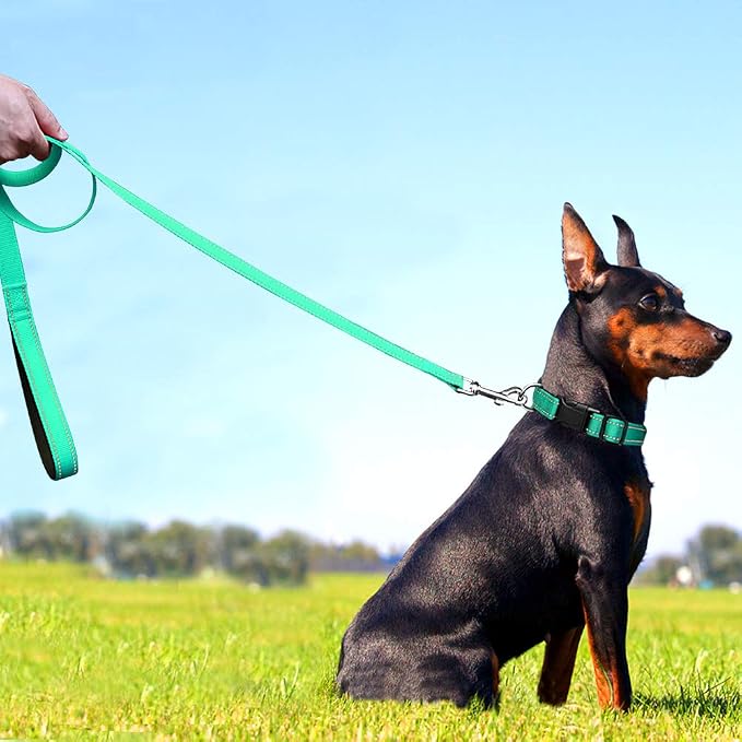 FunTags 4FT Turouoise Reflective Dog Leash for Medium & Small Dogs Training, Soft Padded Handle Comfortable Grip, Heavy Duty Nylon, Reflective for Night Walking, 3/4in Wide