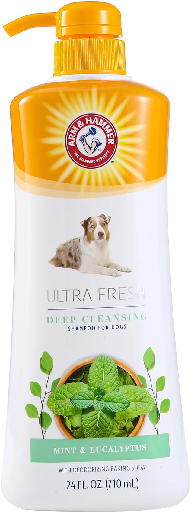 Arm & Hammer Ultra Fresh Charcoal Dog Shampoo with Rosemary Deep Cleansing Odor Control Baking Soda Deodorizing Pet Shampoo Pump Bottle Eucalyptus Mint Scent 24 FL OZ Single Bottle Dog Grooming