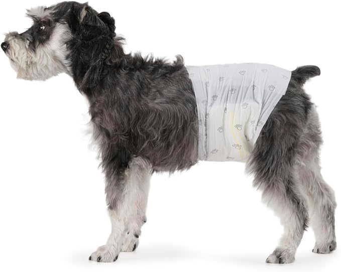 Amazon Basics Male Dog Diapers, Ultra Absorbent Disposable Wrap with Leak Proof Protection, Wetness Indicator, Secure Fit, Breathable, Medium, 30 Count