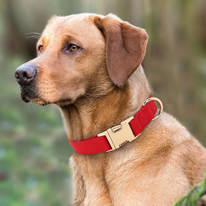 PET ARTIST Soft PU Leather Dog Collar, Bright & Classic Red Dog Collar with Quick Release Rose Metal Buckle, Adjustable Nylon Padded Durable Pet Collars for Large Dogs Girl, Neck Fit 16-27"