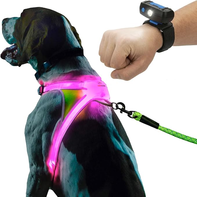 Noxgear LightHound (Medium) + Wrist Light – Illuminated and Reflective Harness for Dogs Including Multicolored LED Fiber Optics (USB Rechargeable, Adjustable, Lightweight, Rainproof)