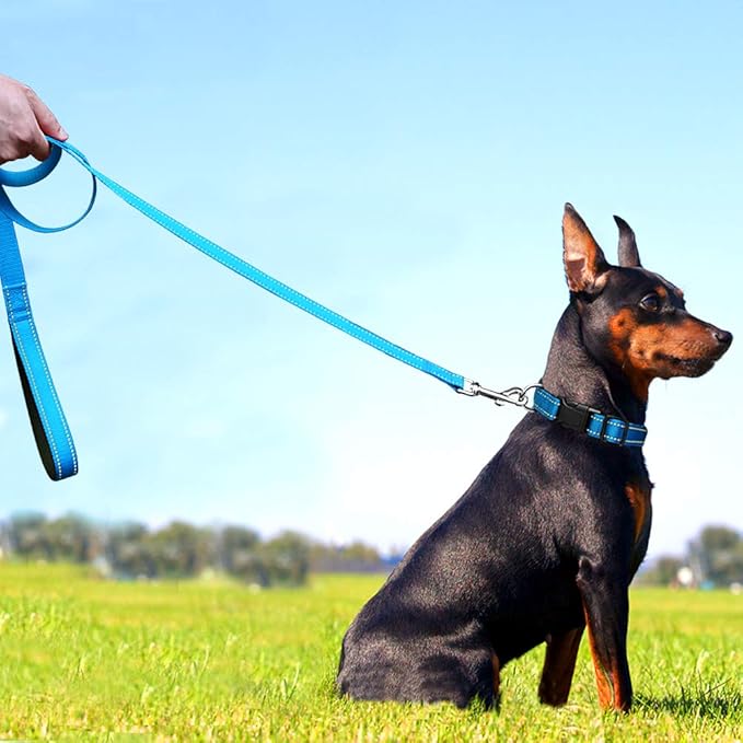 FunTags 6FT Sky Blue Reflective Dog Leash for Medium & Small Dogs Walking, Soft Padded Handle Comfortable Grip, Heavy Duty Nylon, Reflective for Night Walking, 3/4in Wide