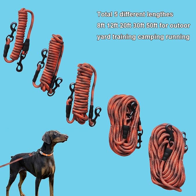 BTINESFUL Tie-Out Check Cord Long Rope Dog Leash, 8ft 12ft 20ft 30ft 50ft Recall Training Lead Leash- Great for Large Medium Small Dogs Training, Playing, Camping, or Backyard (20ft, Orange Black)