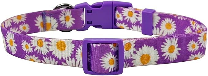 Dog Collar and Leash Set, Cute Daisy Pattern, Polyester Material, 5ft Leash, for Medium Dogs.(Medium,Purple Daisy)